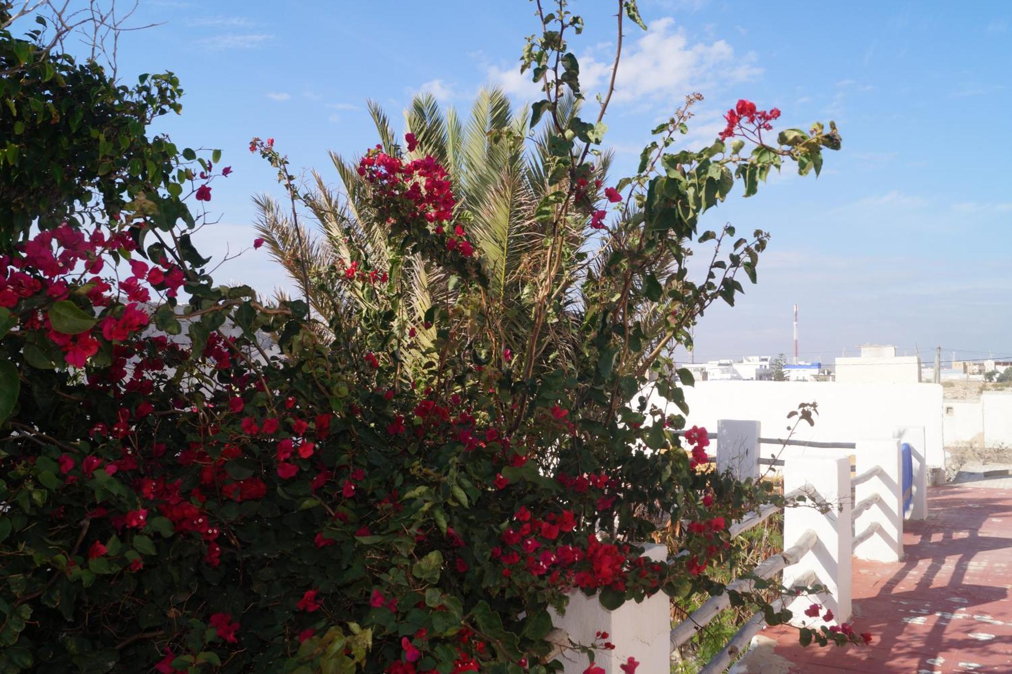 Sidi Kaouki Perla Hotel Kültér fotó