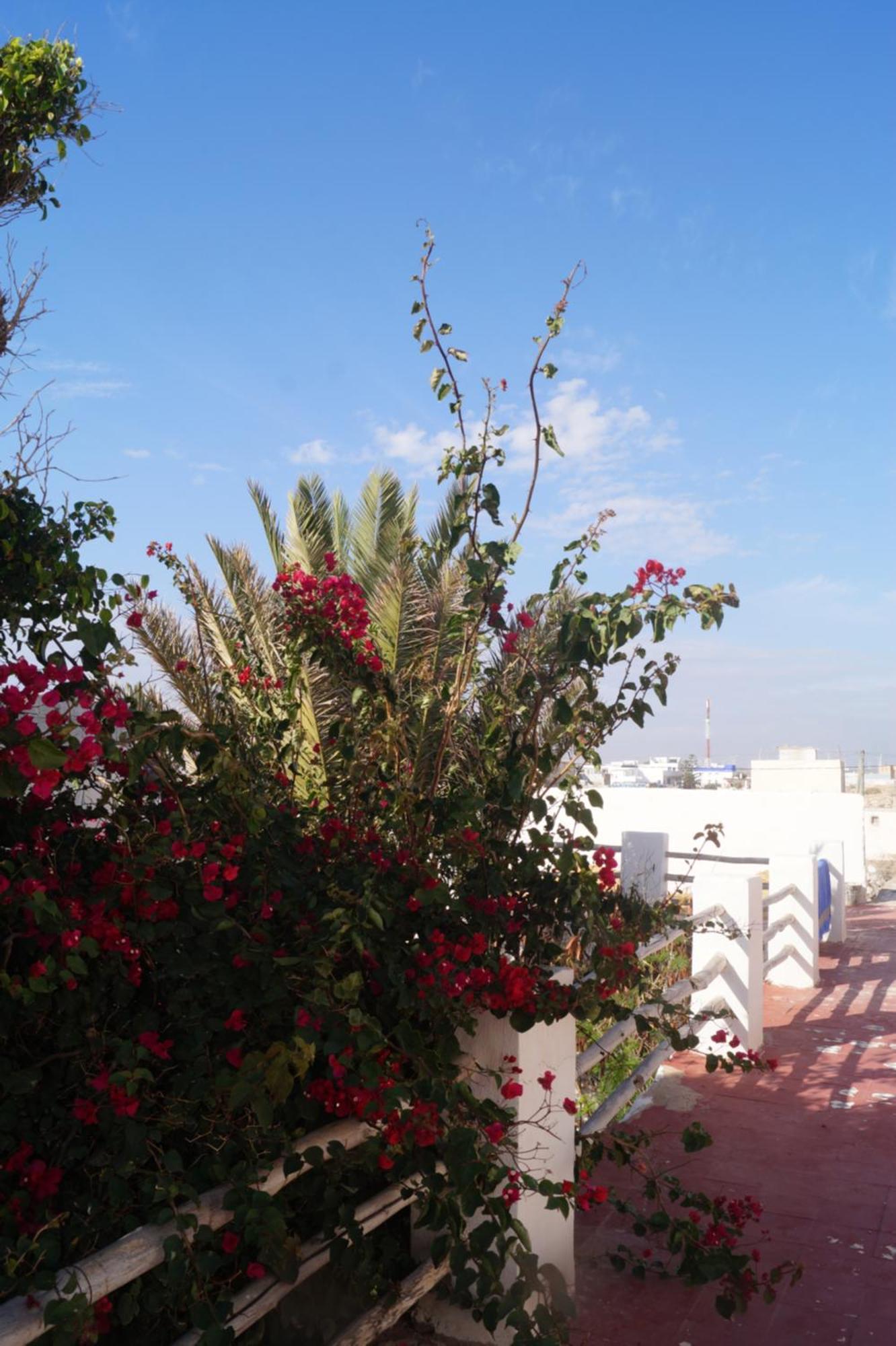 Sidi Kaouki Perla Hotel Kültér fotó