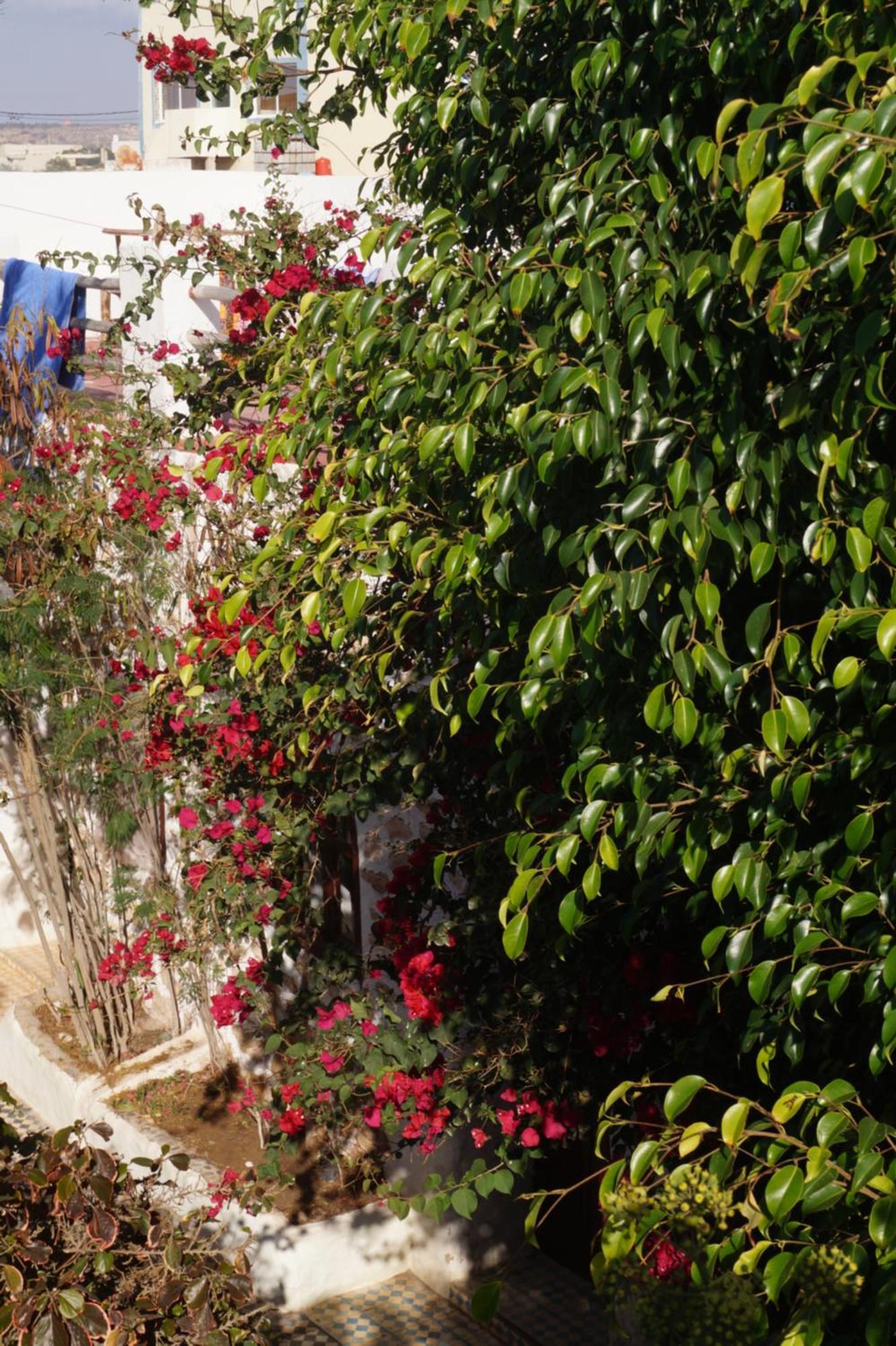 Sidi Kaouki Perla Hotel Kültér fotó